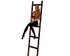 2 seater Wall Ladder