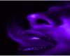 [i] Purple Canvas V2