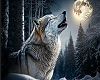 Wolf Howling 1