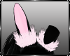 Bunny  Ears Fluffy
