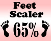 Feet Scaler 65%