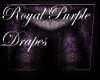 Royal Purple Drapes