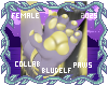 Stormy Paws