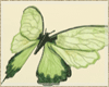 Flying Butterfly