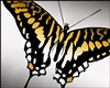 IDI Swallowtail Animated