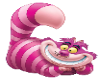 Cheshire Cat