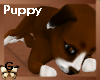G-Adopt a pup