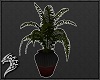 [K]Plant - TDK