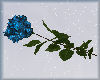 Blue Lt Rose Valentines