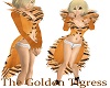 Golden Tigress Corsair