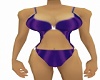 [V7]  Purple Bikini