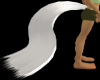 white horse tail