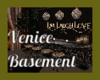 Venice Basement DEC