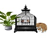 N-Bird Cage and Kitty