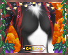 ꨄSparta F Cupꨄ