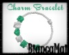 (B)Charm Bracelet