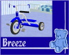 *B BabyBoy Tricycle Toy