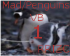 MAD/PENGUINS VB 1