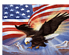 (RD) eagle flag (F) tee