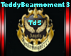 TeddyBearMoment Vow3