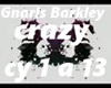 Gnarls Barkley crazy