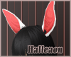 ..H.. Wh Bunny Glam Ears