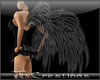 {TG} Anmtd Wings-Black