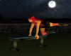 gym bench / poses
