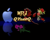 {MRJ} Lady Ninja