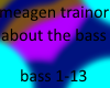 meagen trainor bass