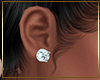 Elegant Earings