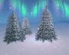 S*Snowy Trees
