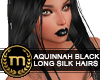SIB - Aquinnah Black H.