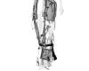 ANONYMOUS V1