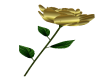 Gold - Rose