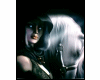 Mistic Lady and Horse
