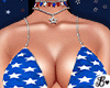 !B July 4th USA Set