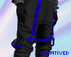 [RD] Techwear Blue Cargo