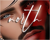 Beard for Men
