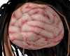 Avi Human Brain