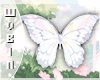 🐀 Butterfly Lilac