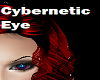 cybernetic eye