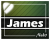 *NK* James (Sign)