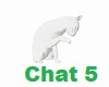 Chat 5