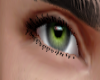 .G.⦒⦑.S. jung!e eyes