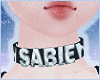 ☾ Sabie Choker