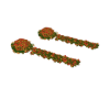Fall  walk