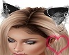 Sexy Kitten Ears