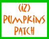 (IZ) Pumpkins Patch