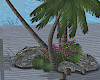 Palm Trees w Rocks